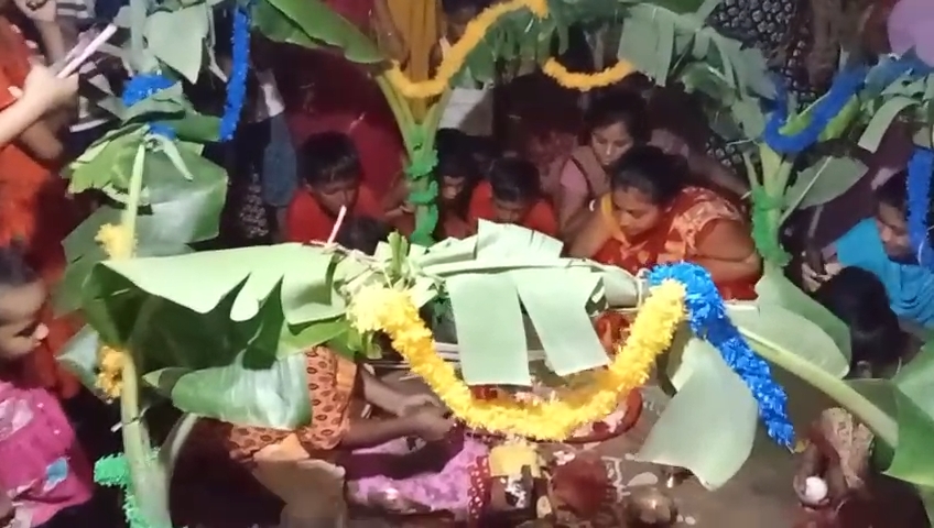 বৃষ্টি কামনায় শান্তিপুরে  ব্যাঙের বিয়ে !