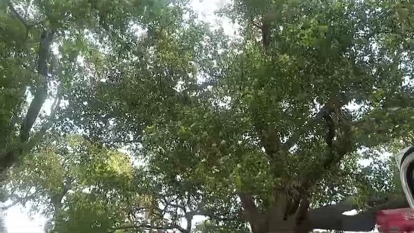 আবহাওয়া আপডেট